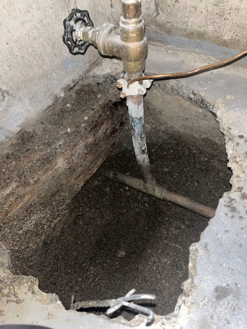 Leak Detection by Raptor Rooter & Plumbing